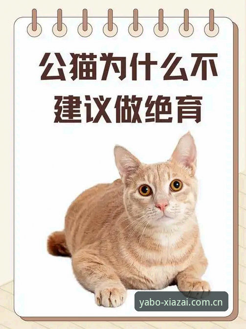 嘿，你知道吗？每次打开亚博APP，我总有种奇怪的感觉——明明只是个体育平台，但它提醒你的不是“比赛开始了”，而是“位置在你身边”。